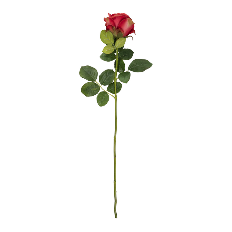 stem single rose red 70cm